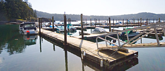 Pedder Bay Marina