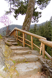 Sooke BC