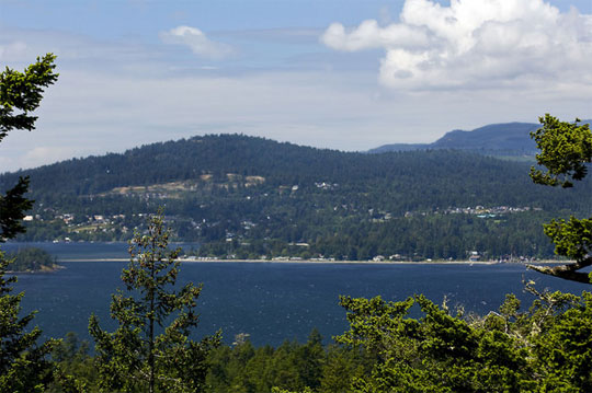 Not just a clearcut with rock walls. The Westcoast lifestyle awaits you in this natural, wooded oasis.